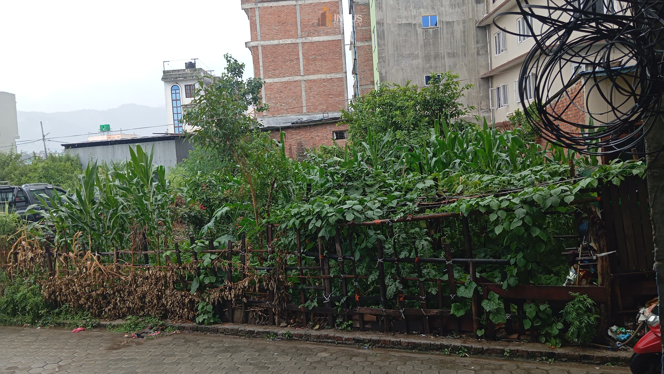Picture of Madhyapur Thimi Municipality, Bagmati